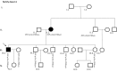 Fig 11
