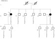 Fig 12