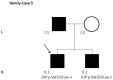 Fig 5
