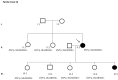 Fig 10