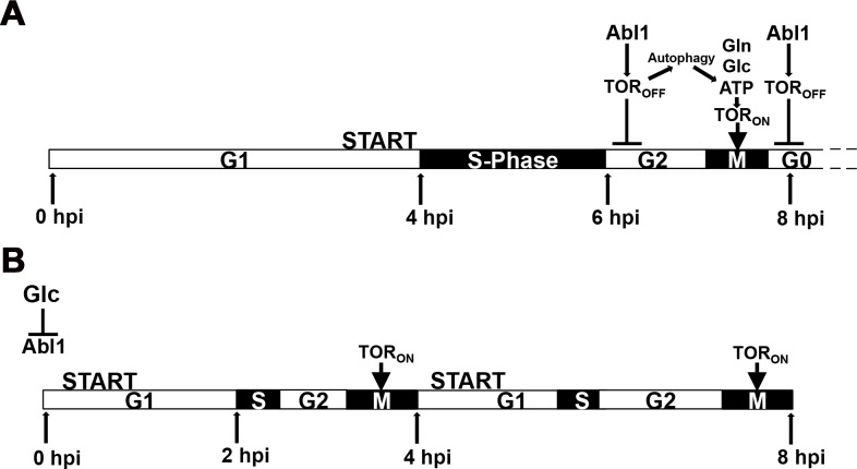 Fig 9