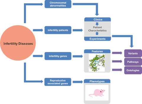 Graphical Abstract