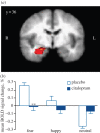 Figure 1.