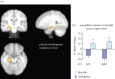 Figure 3.