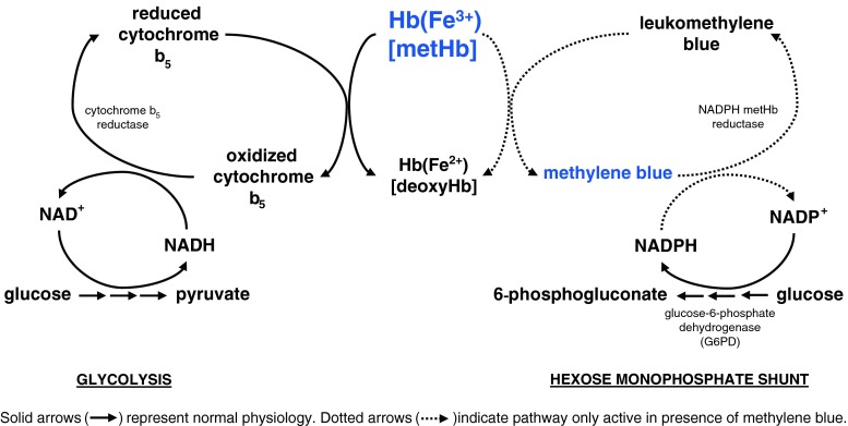 Fig. 1