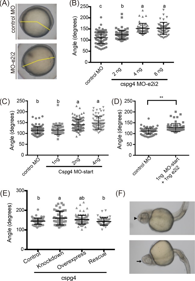 Fig 5