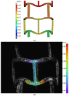 Figure 19