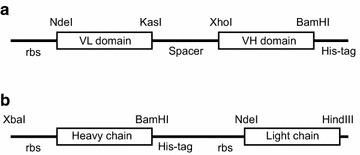 Fig. 4