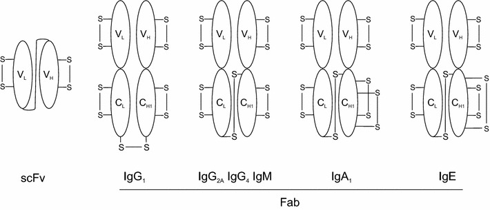 Fig. 1