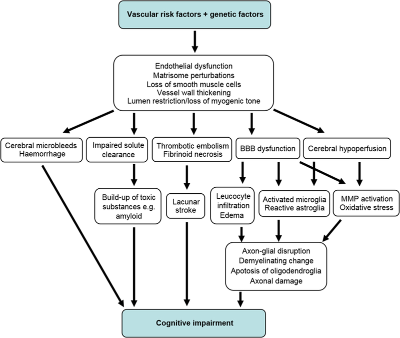 Figure 1: