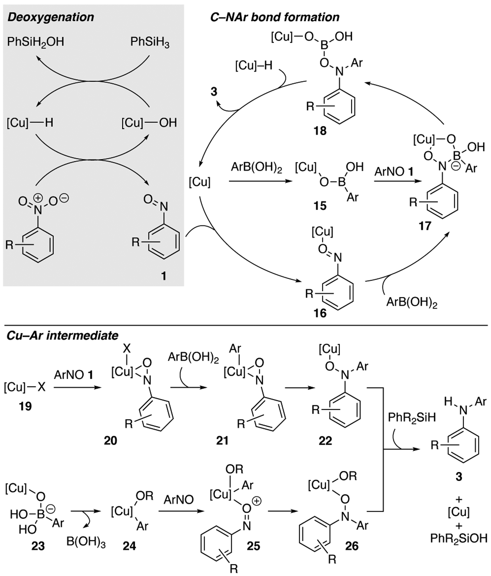 Scheme 3.