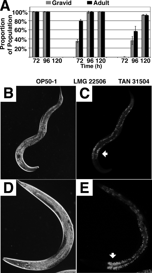 FIG. 5.