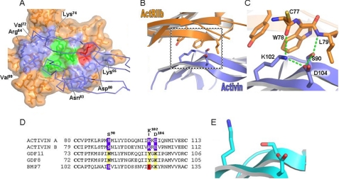 FIGURE 4.