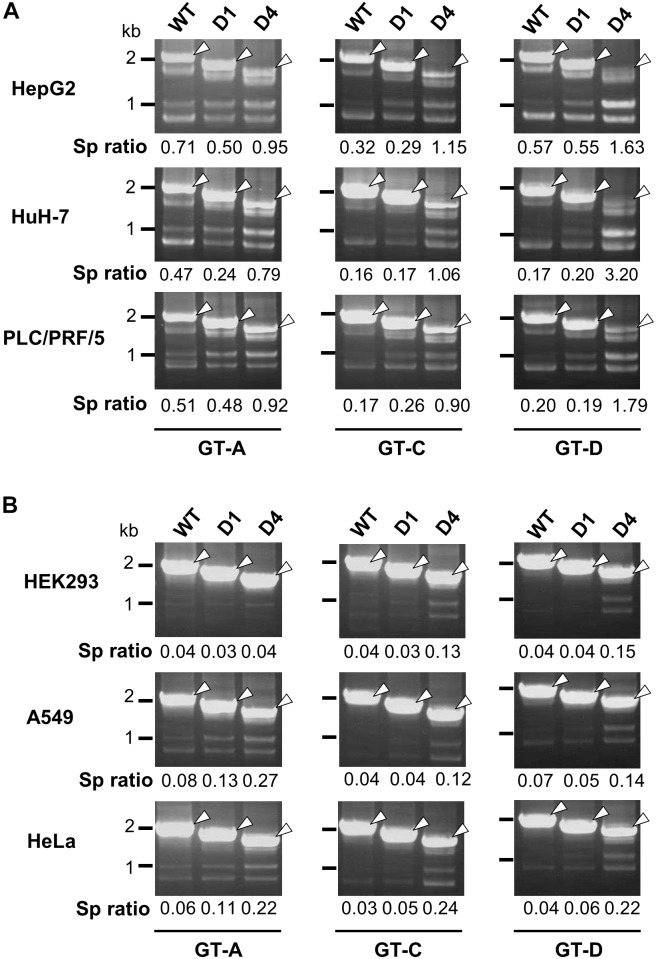 FIGURE 4