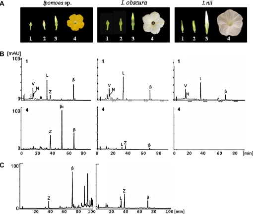 Fig. 3.