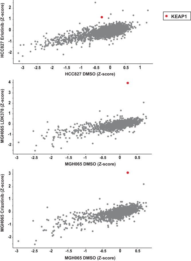 Figure 1—figure supplement 3.