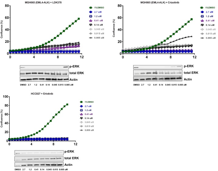 Figure 1—figure supplement 2.