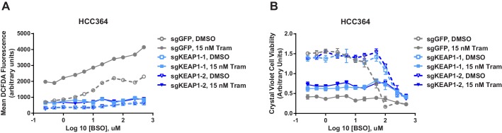 Figure 5—figure supplement 1.