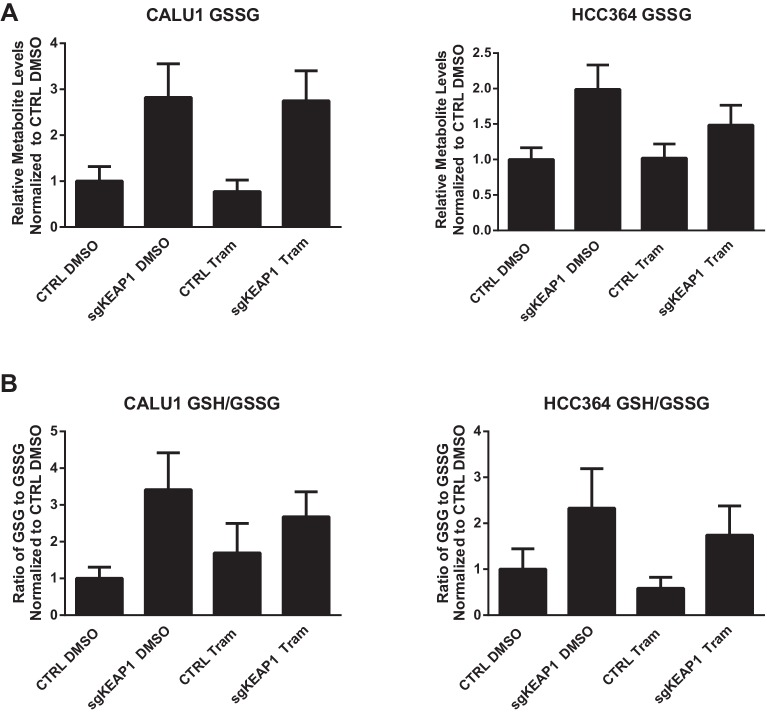 Figure 4—figure supplement 2.