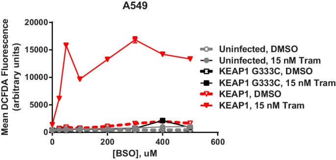 Figure 5—figure supplement 2.