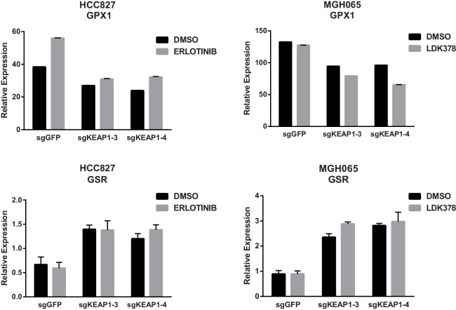 Figure 4—figure supplement 4.