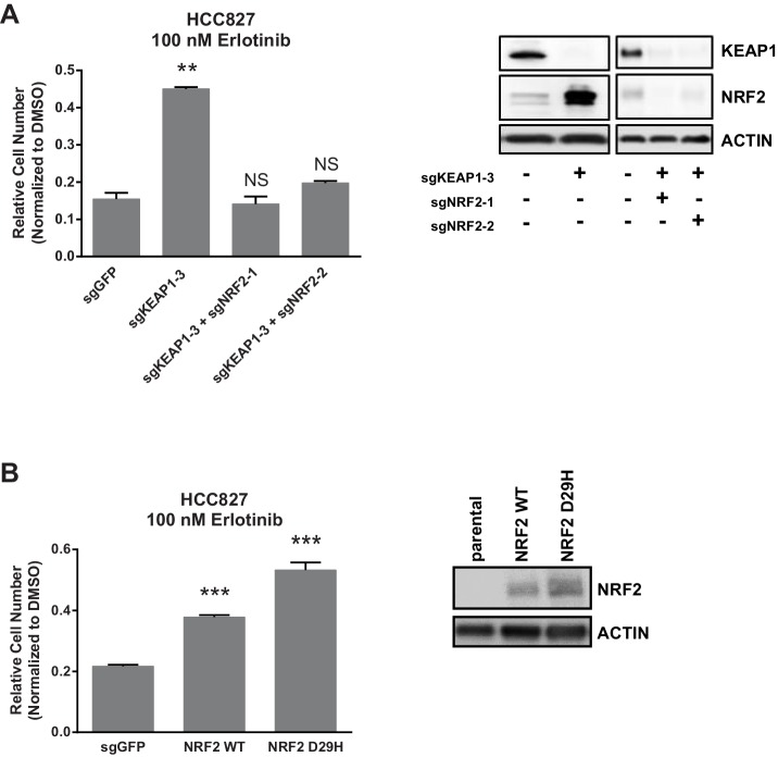 Figure 2—figure supplement 2.