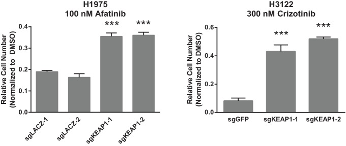 Figure 1—figure supplement 5.