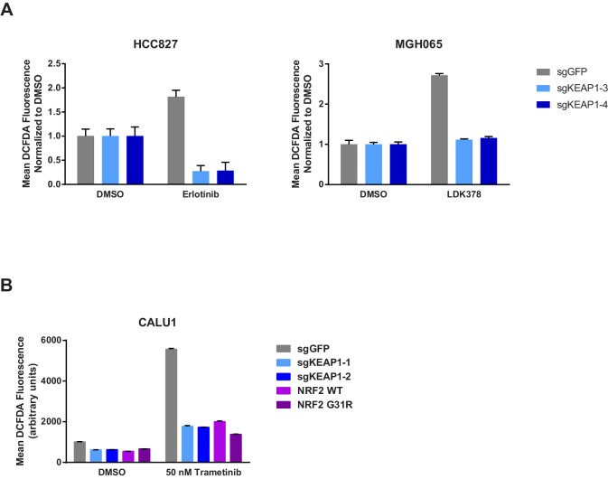 Figure 4—figure supplement 1.