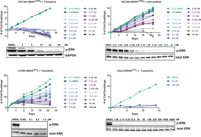 Figure 1—figure supplement 1.