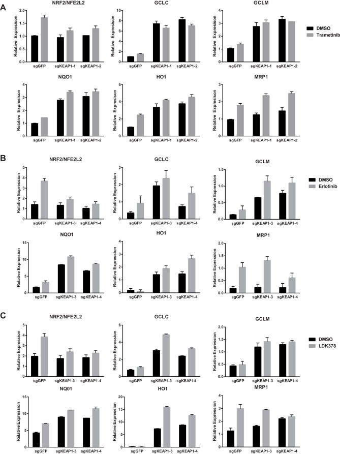 Figure 3—figure supplement 1.