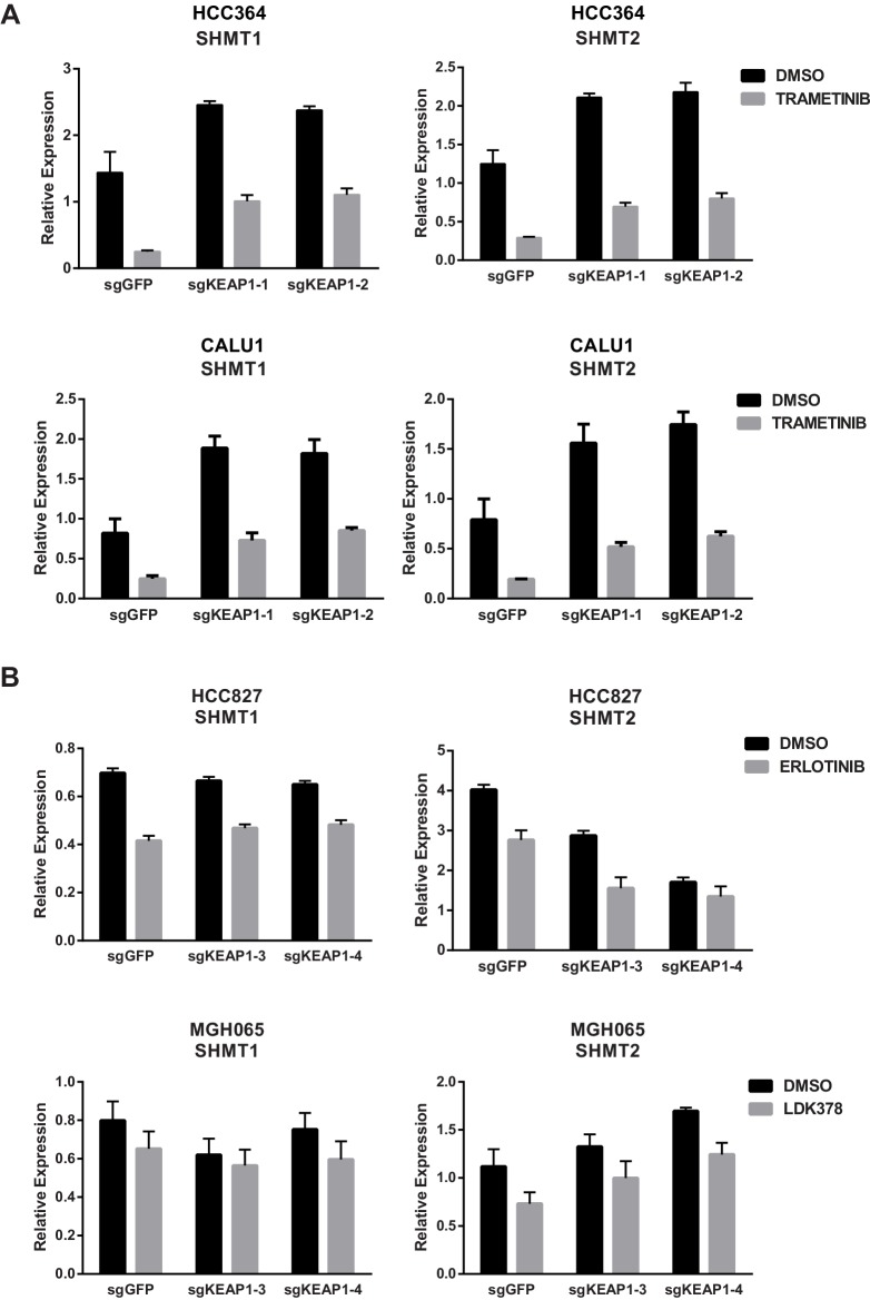 Figure 4—figure supplement 3.