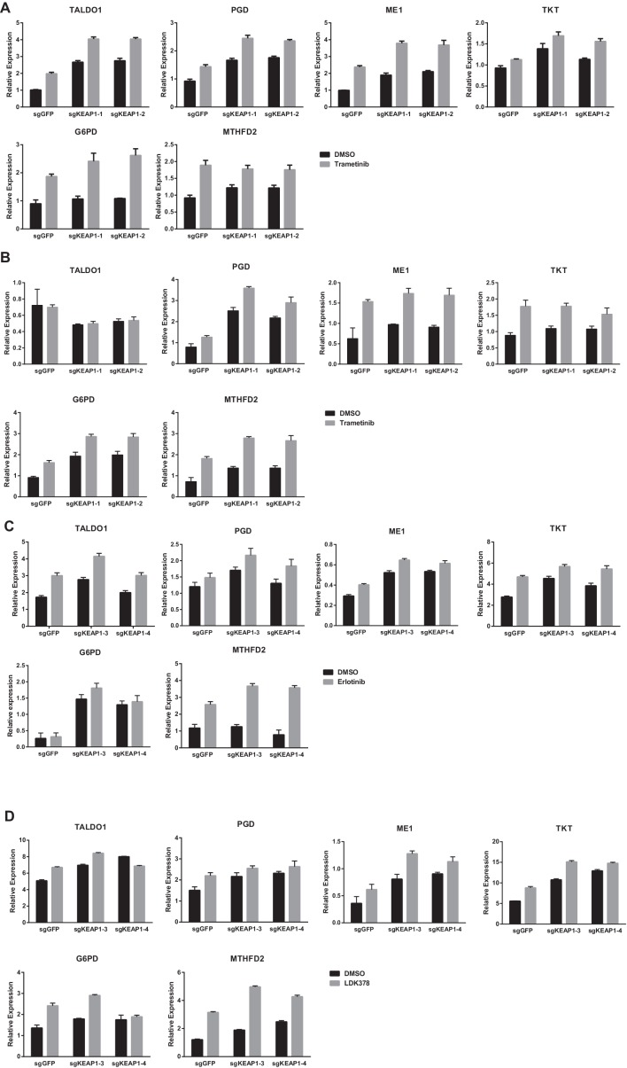 Figure 5—figure supplement 3.