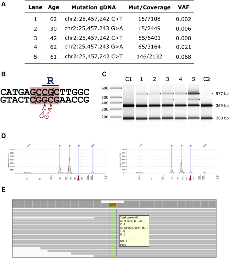 Figure 1