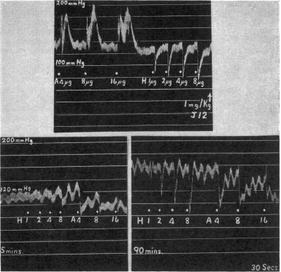 FIG. 5