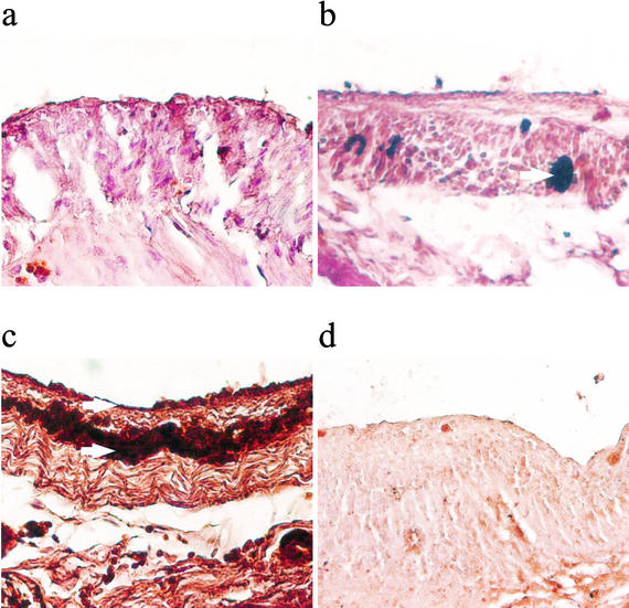 FIG. 5.