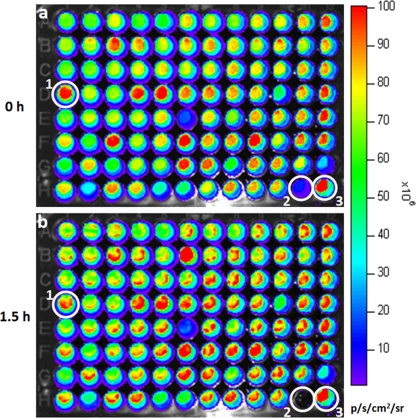 FIG. 2.