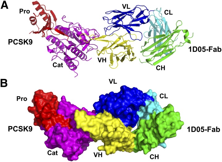 Fig. 2.