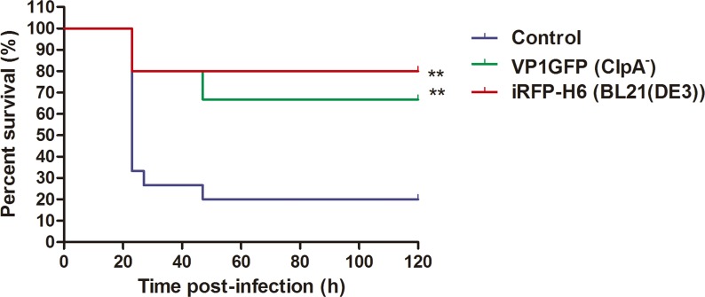 Fig 7