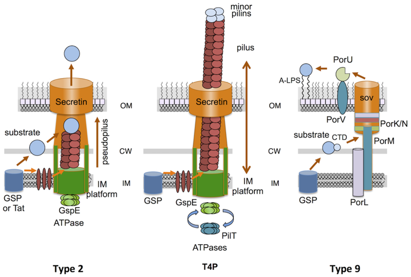 Fig. 3.