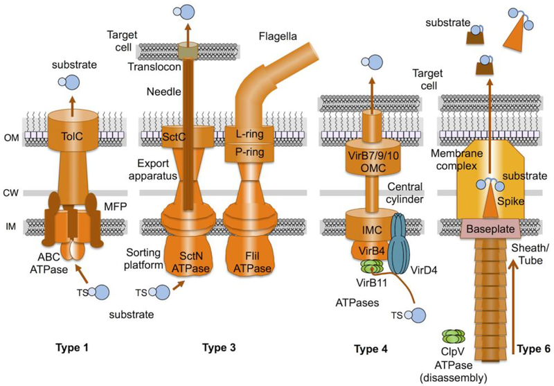 Fig. 4.