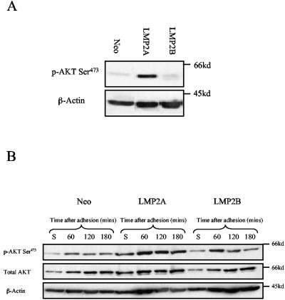 FIG. 11.