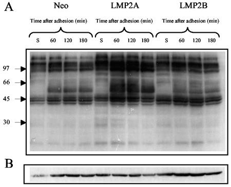 FIG. 10.