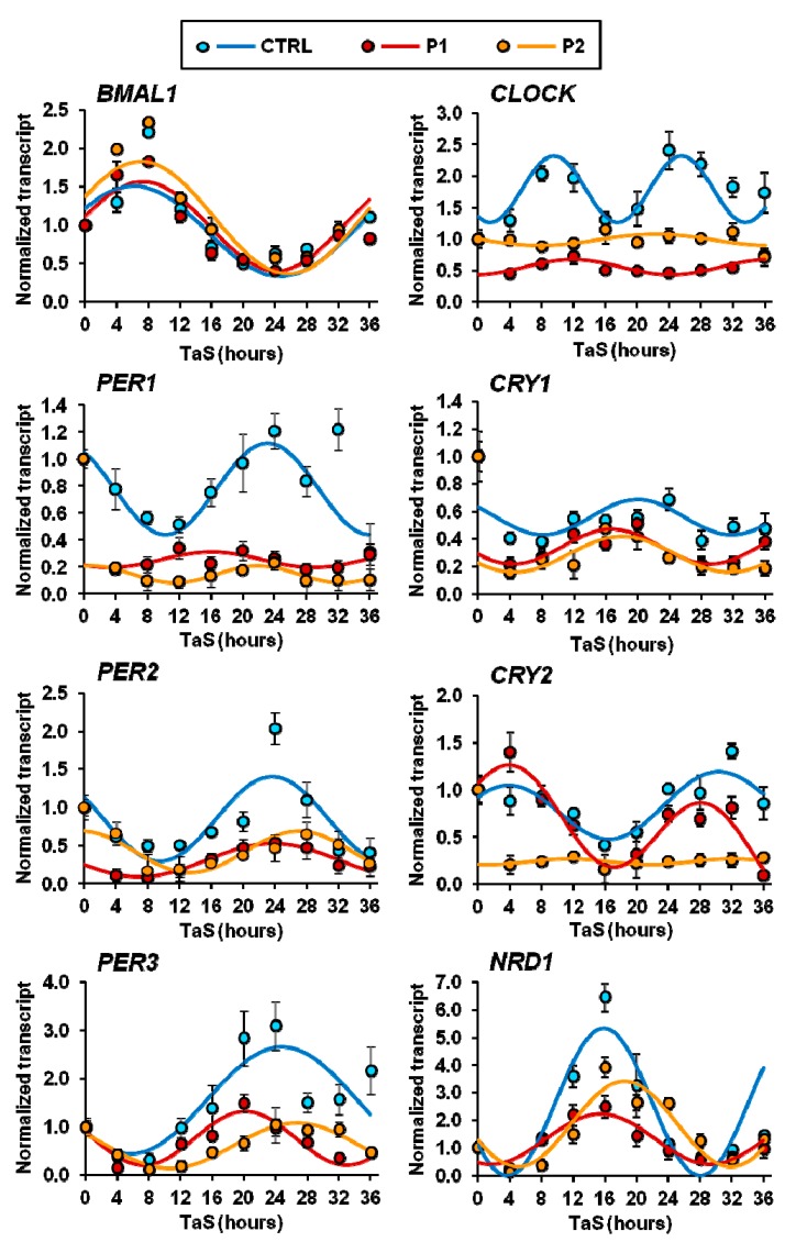 Figure 7