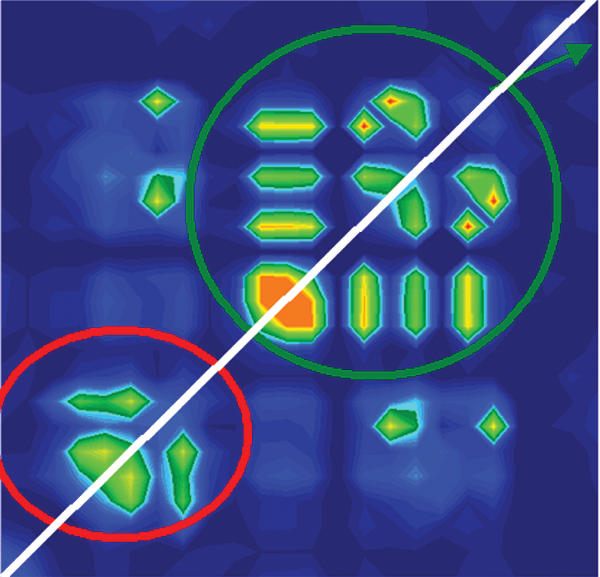 Visualization of linkage disequilibrium