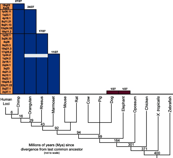 Fig. 4.—