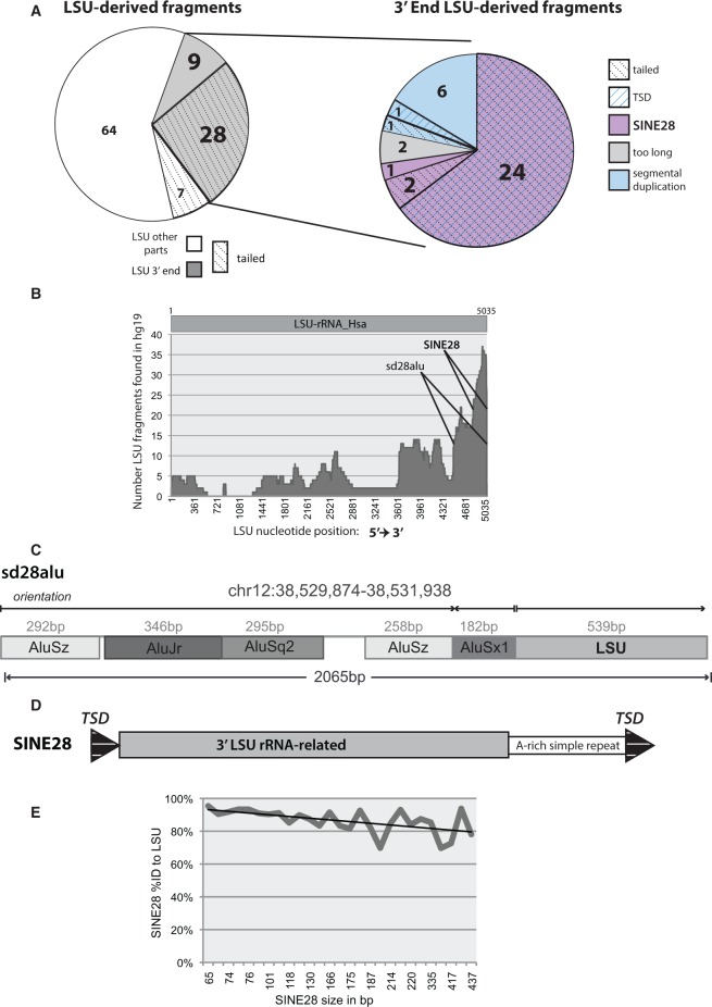 Fig. 1.—