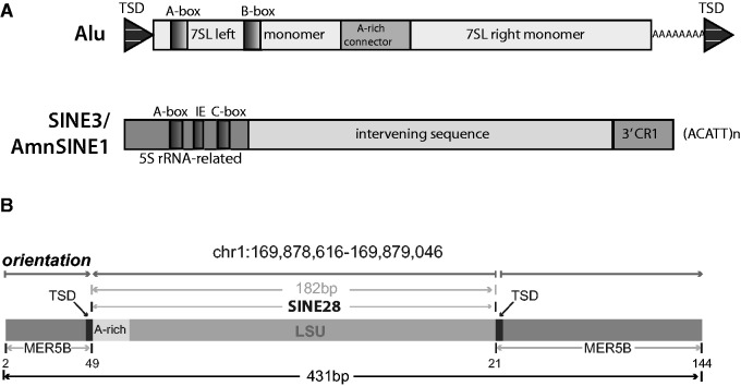 Fig. 2.—