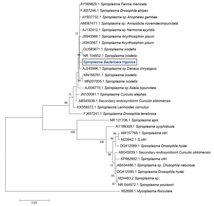 Figure 2