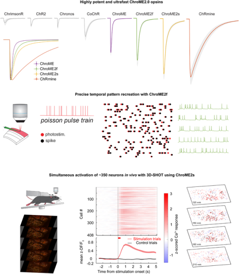 graphic file with name nihms-1780290-f0001.jpg