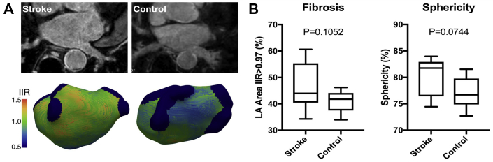 Figure 2